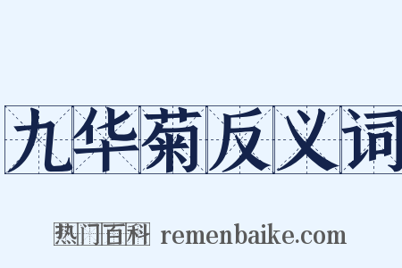 九华菊反义词是什么意思的图片